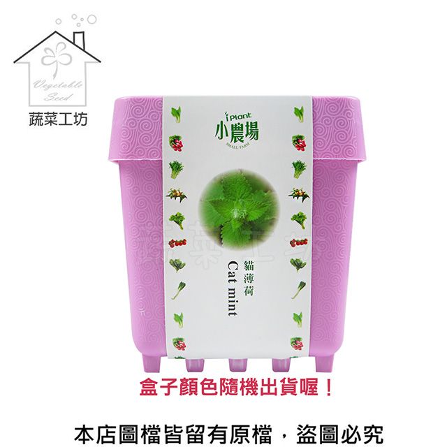 蔬菜工坊 iPlant小農場系列-貓薄荷