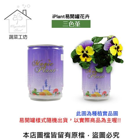 iPlant 【蔬菜工坊】易開罐花卉-三色堇