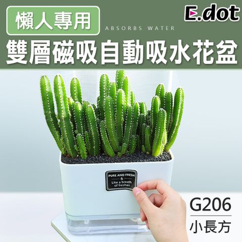 E.dot 透明雙層磁吸自動吸水懶人花盆-G206長方形小