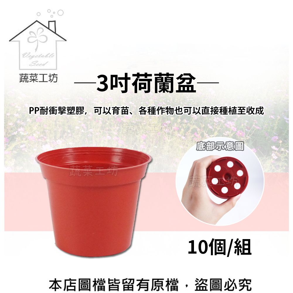 3吋荷蘭盆(栽培盆)10個/組- PChome 24h購物