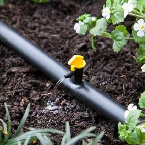 美國Raindrip旗狀滴灌(每小時16公升)15個