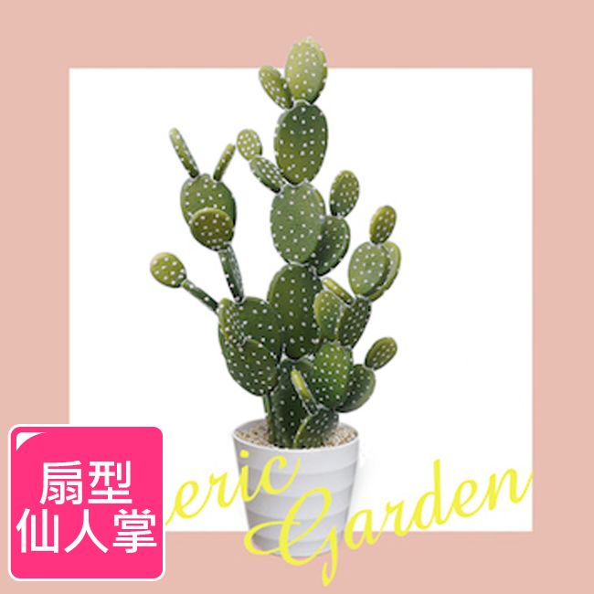 Meric Garden 北歐風格居家裝飾高仿真大型景觀植栽擺設盆栽扇型仙人掌
