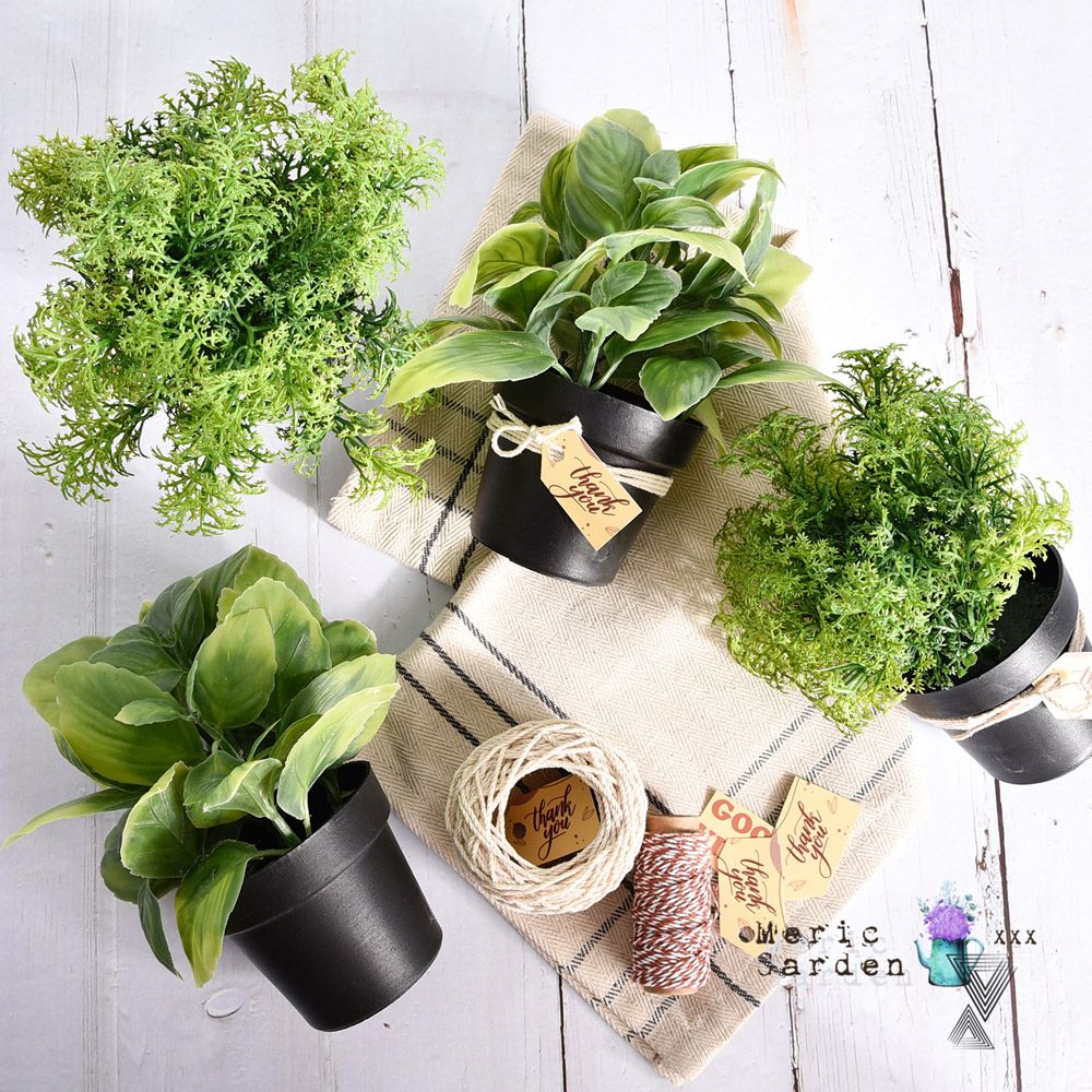 Meric Garden 創意北歐仿真療癒小綠植盆栽/桌面裝飾擺設_2款任選