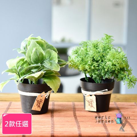 Meric Garden 創意北歐仿真療癒小綠植盆栽/桌面裝飾擺設_2款任選