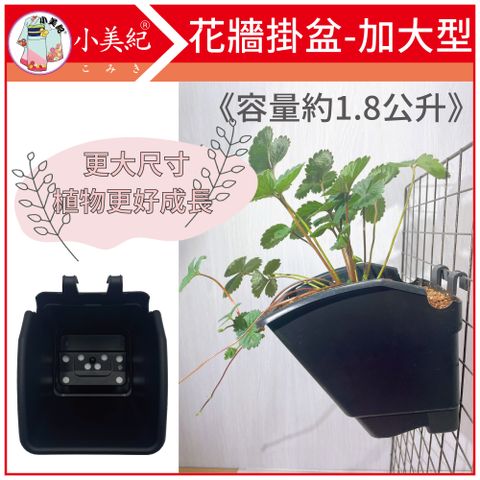 小美紀 6吋花牆單掛盆-加大(含專用椰纖片)-單入