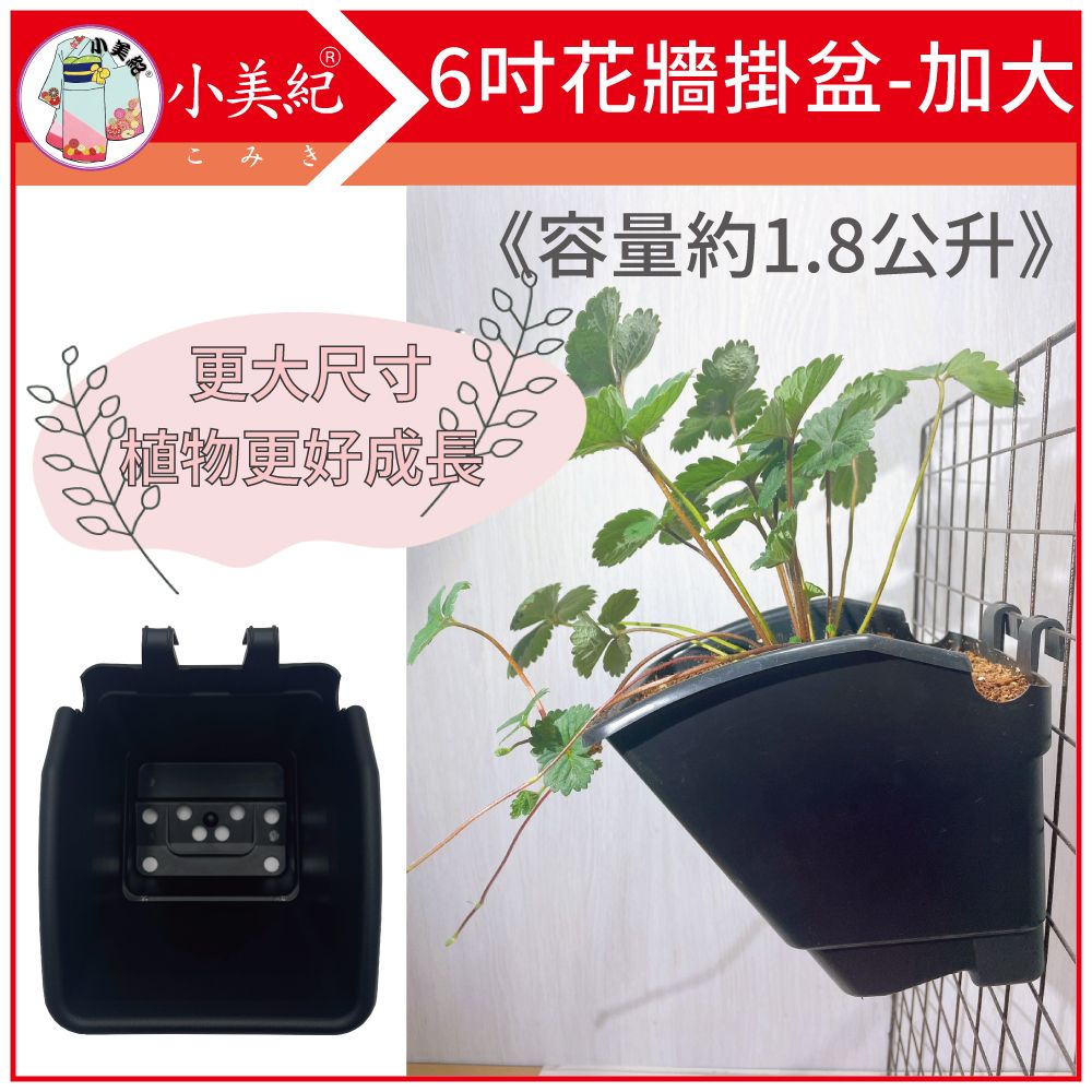 小美紀  6吋花牆單掛盆-加大(含專用椰纖片)-10入裝