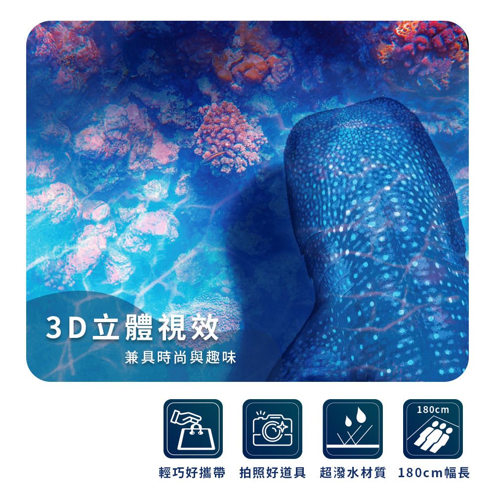 Twin Dragon 雙龍牌 3D鯨魚手提設計超輕防水野餐墊/加大防水海灘墊(露營烤肉網美必備防水地墊/大型摺疊野餐墊/)