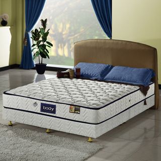 3M系列-Body經典高澎度+防蹣+防潑水+蜂巢獨立筒床墊-雙人5尺