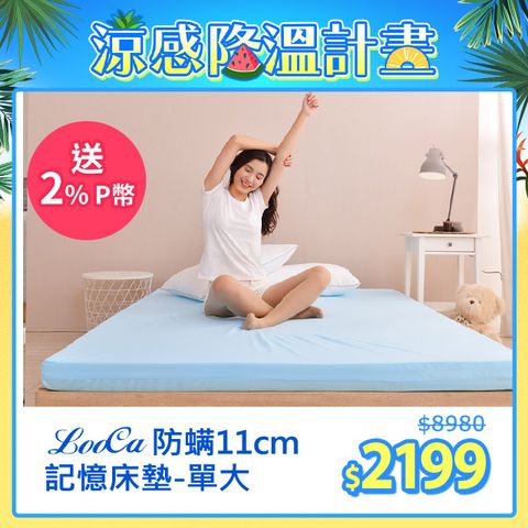法國防蹣11cm記憶床墊-單人3.5尺