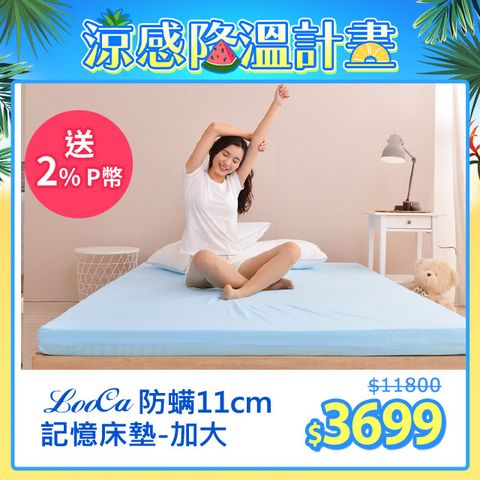 法國防蹣11cm記憶床墊-加大6尺