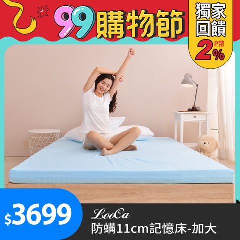 法國防蹣11cm記憶床墊-加大6尺