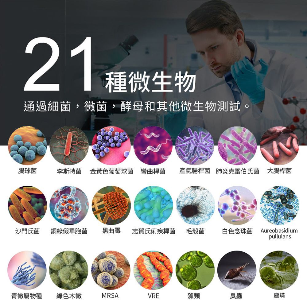 LooCa 美國抗菌8cm記憶床墊-單人3尺