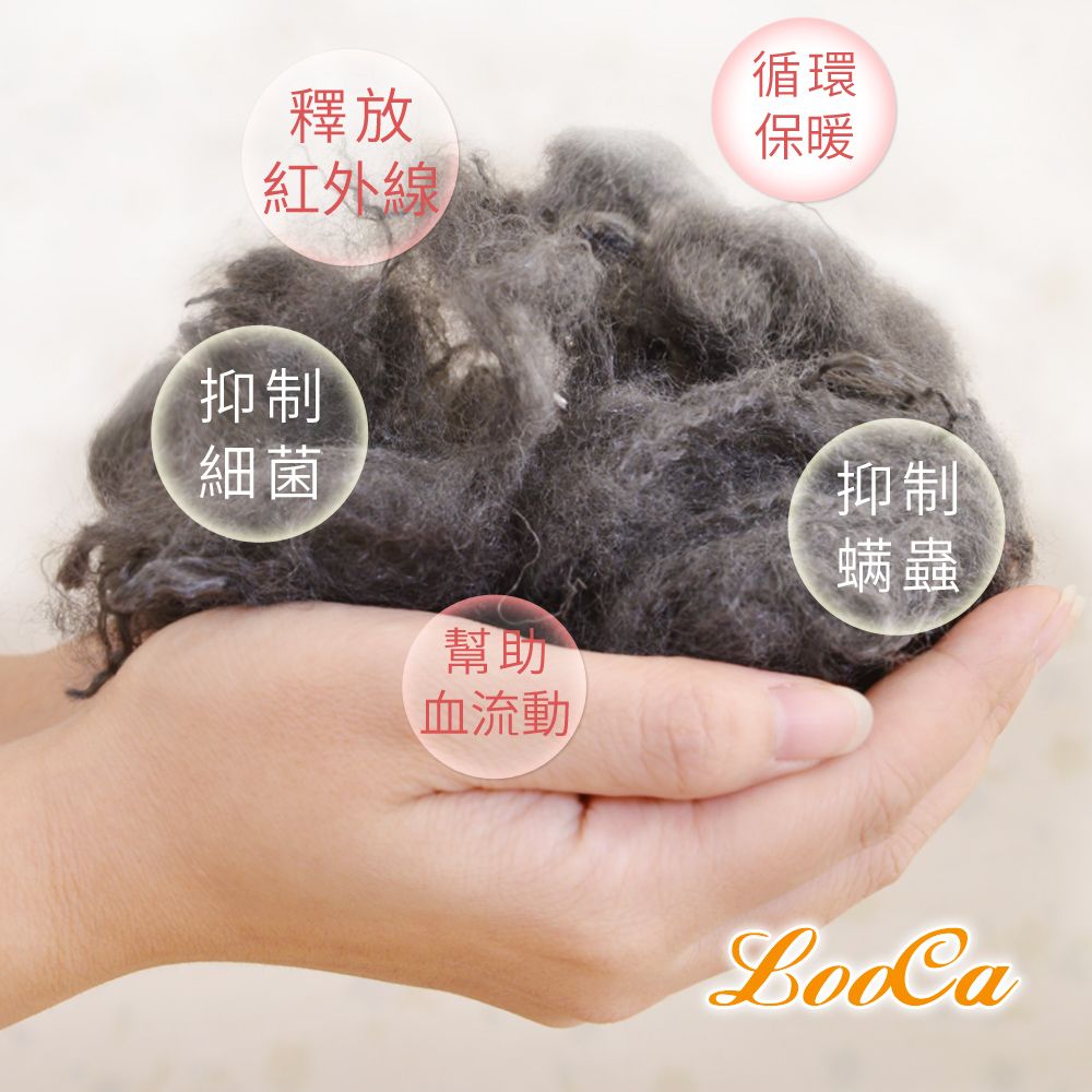 LooCa 石墨烯親膚抗菌三段式獨立筒枕2入