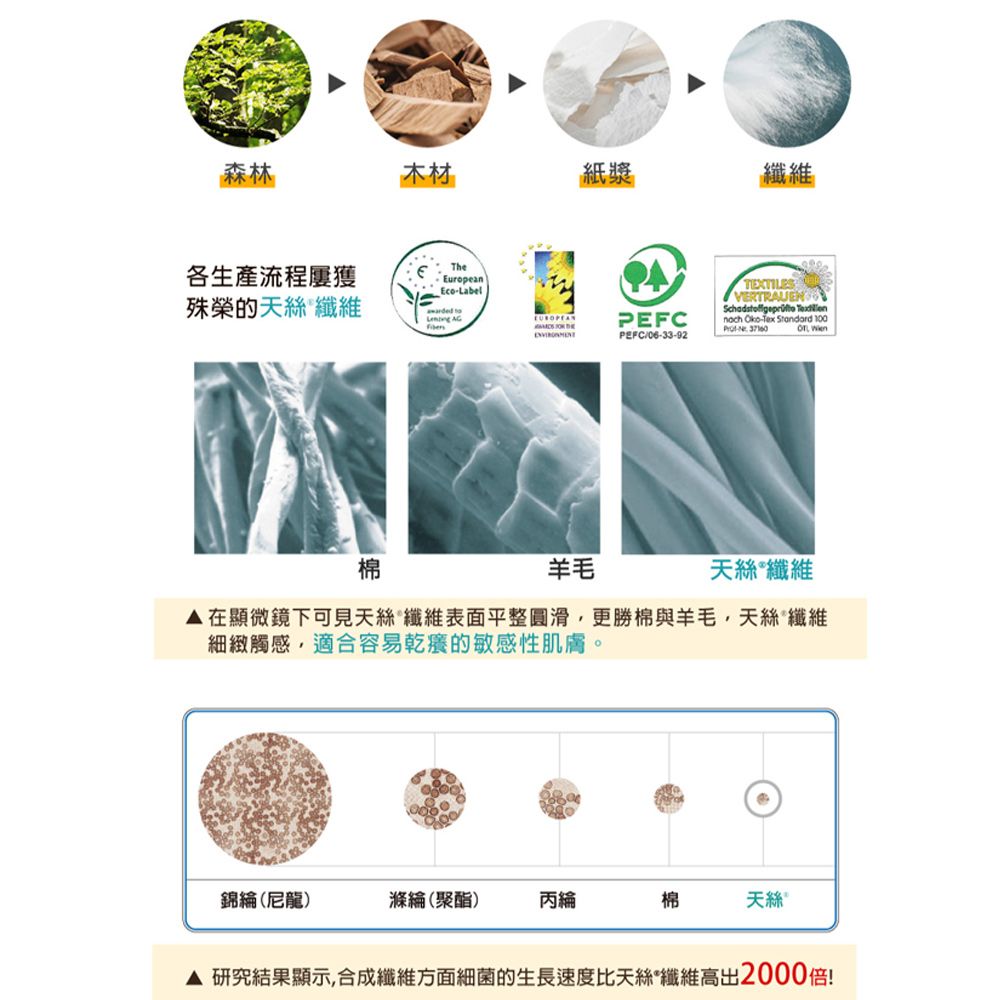 LooCa 石墨烯親膚抗菌三段式獨立筒枕2入