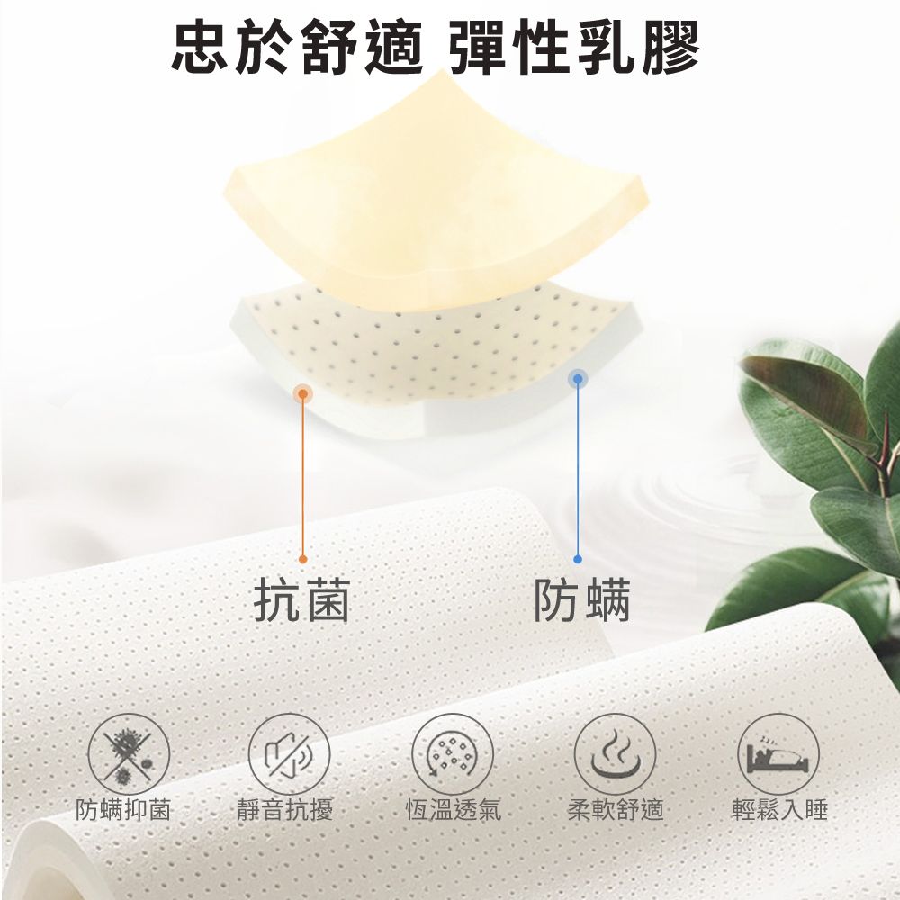 LooCa 石墨烯Ex雙效抗敏乳膠護脊2.4mm獨立筒床墊-大6尺