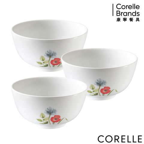 Corelle Brands 康寧餐具 CORELLE康寧 花漾彩繪3件式中式飯碗組-C02