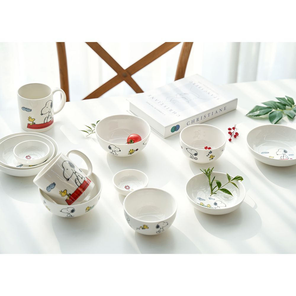 Corelle Brands 康寧餐具 【美國康寧 CORELLE】SNOOPY HOME 14件式陶瓷餐具禮盒