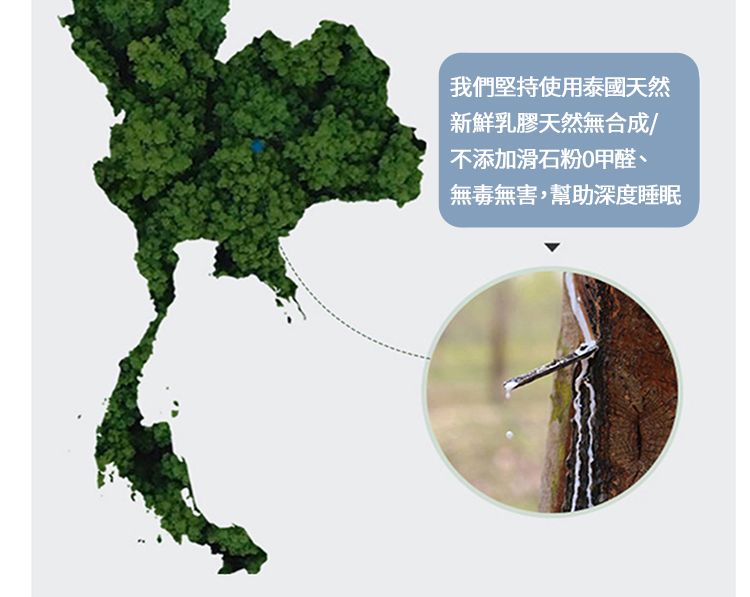 我們堅持使用泰國天然新鮮乳膠天然無合成/不添加滑石粉0甲醛、無毒無害,幫助深度睡眠
