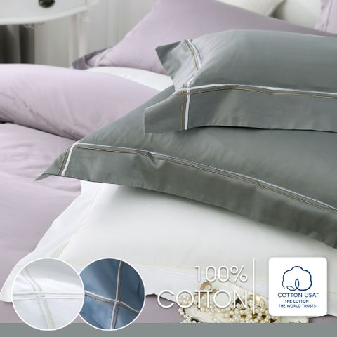 鴻宇 100%精梳棉 300織 純色刺繡 歐式壓框枕套2入	