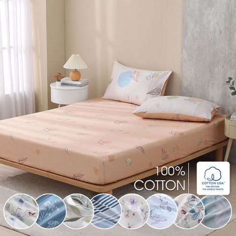 鴻宇 100%精梳棉 美國棉300織 雙人床包枕套三件組 多款任選