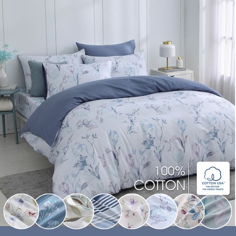 鴻宇 100%精梳棉 美國棉300織 雙人四件式兩用被床包組 多款任選