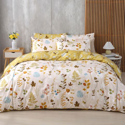 鴻宇 100%精梳棉 美國棉 巴澤爾 雙人加大四件式薄被套床包組