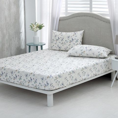 鴻宇 100%精梳棉 美國棉300織 賽蘿美 雙人床包枕套三件組