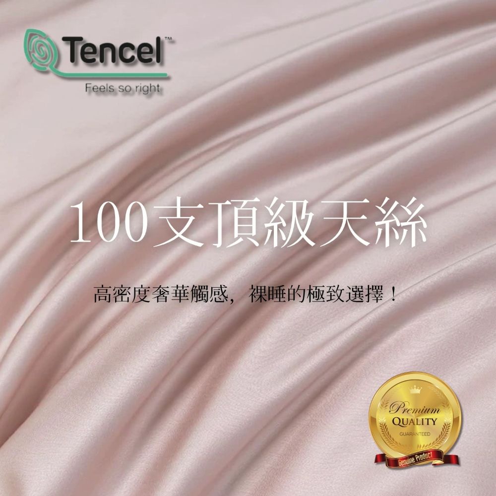 Mexsmon 美思夢 頂級尊貴拼接100支天絲床包 四件組-天絲床包組 床包 兩用被 寢具 天絲床罩組  床單 雙人加大 （6尺）