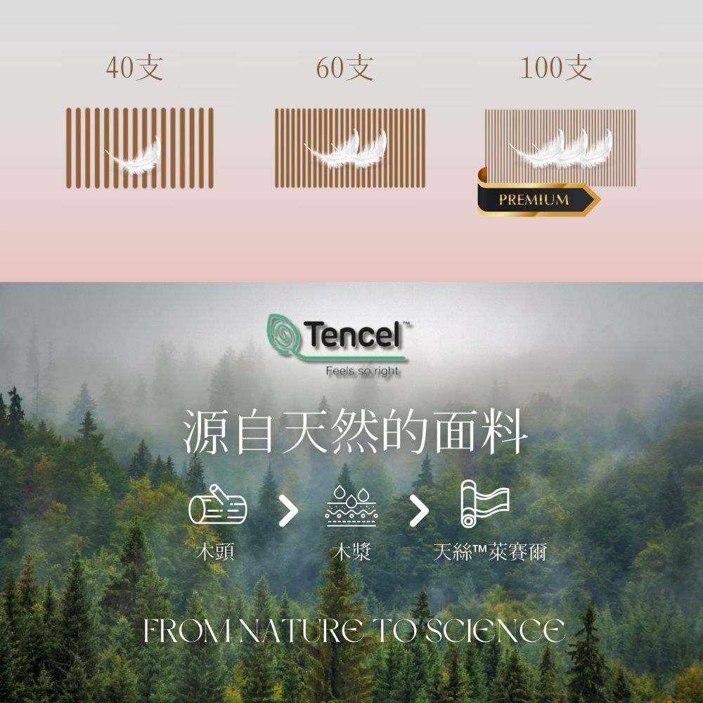 Mexsmon 美思夢 頂級尊貴拼接100支天絲床包 四件組-天絲床包組 床包 兩用被 寢具 天絲床罩組  床單 雙人加大 （6尺）