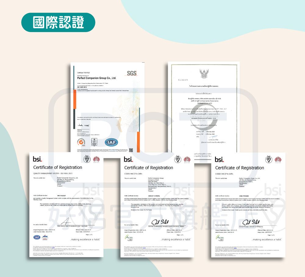 國際認證Perfect anion Group  LtdCertificate of Registration   p IAFSGS.Certificate of Registration   Combsi  bsi.Certificate of RegistrationCODEX HACCP & making  a habitmaking excellence a habitbsimaking excellence a habit