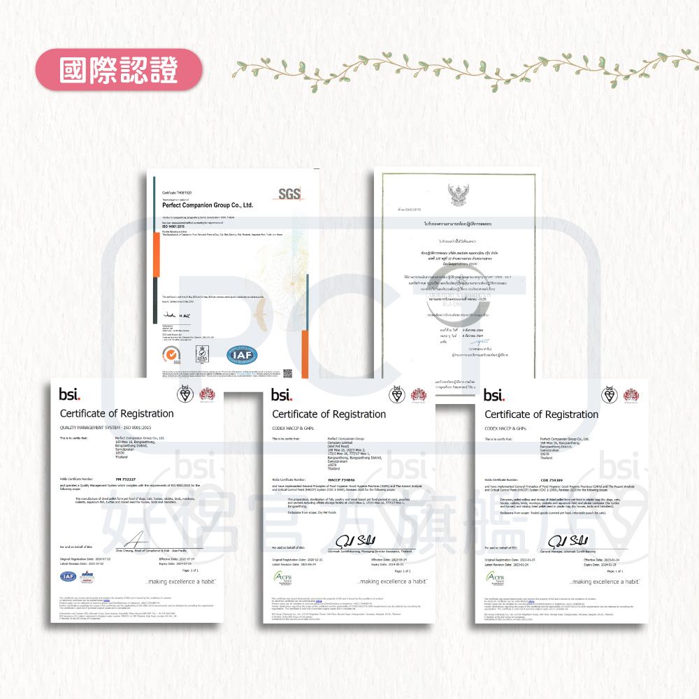 國際認證erfet Compnion Group Co LtdCertificate  RegistrationQUALIY   T  a    Pmaking excellence a habitSGS cbsi.Certificate of Registration    bsi.Certificate of Registration    bsi ofmaking excellence a habit  making excellence a habit