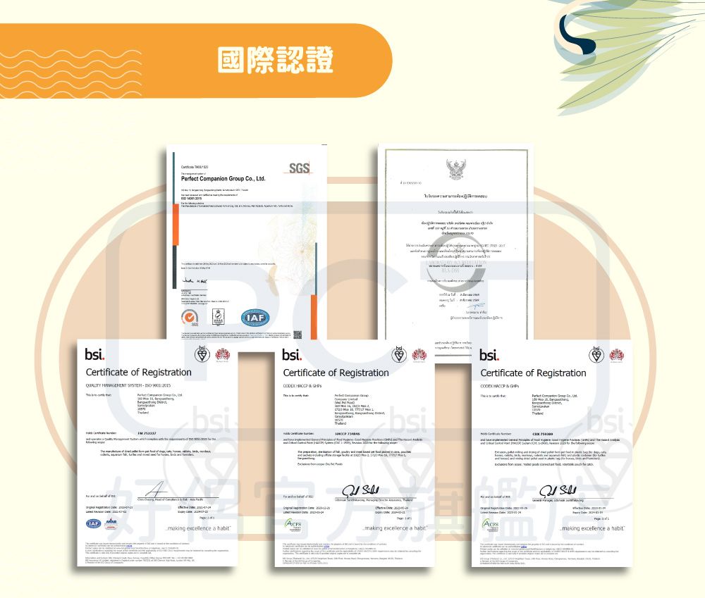 國際認證SGSPerfect Companion Group  LtdCertificate of Registration     excellence a --IAF.Certificate of Registration НАССР  bsibsi.Certificate of Registration   bsimaking excellence a habitmaking excellence a habit