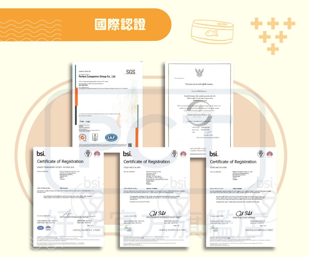 國際認證SGSPerfect nion Group Co LtdCertificte of RegistrationQUALITY  bsimaking excellence a bsi.Certificate of Registration 1 જ વbsibsi.Certificate of Registration   Compsimaking excellence a habitmaking excellence a habit