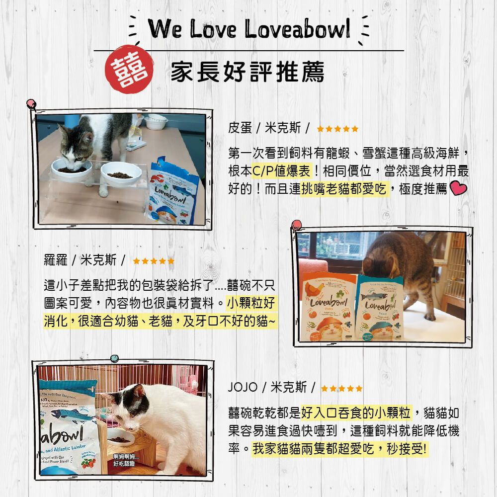 囍We Love l家長好評推薦皮蛋米克斯/ 第一次看到飼料有龍蝦、雪蟹這種高級海鮮根本C/P值爆表相同價位,當然選食材用最好的!而且連挑嘴老貓都愛吃,極度推薦羅羅/ 米克斯/這小子差點把我的包裝袋給拆了囍碗不只圖案可愛,內容物也很材實料。小顆粒好消化,很適合幼貓、老貓,及牙口不好的貓~ow!Loveb  a, and Atlantit  好吃認證JOJO / 米克斯 / 囍碗乾乾都是好入口吞食的小顆粒,貓貓如果容易進食過快噎到,這種飼料就能降低機率。我家貓貓兩隻都超愛吃,秒接受!