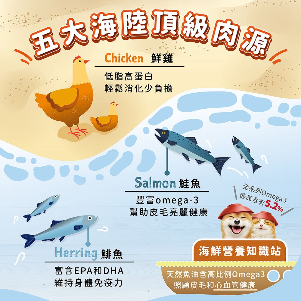 陸頂級肉源八Chicken 鮮雞低脂高蛋白輕鬆消化少負擔Herring 鯡魚Salmon 鮭魚豐富omega-3幫助皮毛亮麗健康全系列Omega3最高含有5.2%海鮮營養知識站富含EPA和DHA維持身體免疫力天然魚油含高比例Omega3照顧皮毛和心血管健康