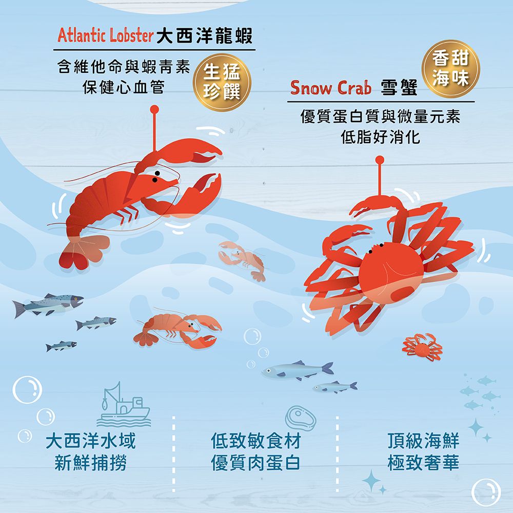 含維他命與蝦青素 生猛保健心血管珍饌Atlantic Lobster 大西洋龍蝦Snow Crab 雪蟹香甜海味優質蛋白質與微量元素低脂好消化 大西洋水域新鮮捕撈低致敏食材優質肉蛋白頂級海鮮極致奢華