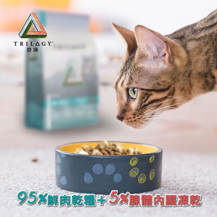 TRILAG Y奇境95%鮮肉+5%腺體凍乾