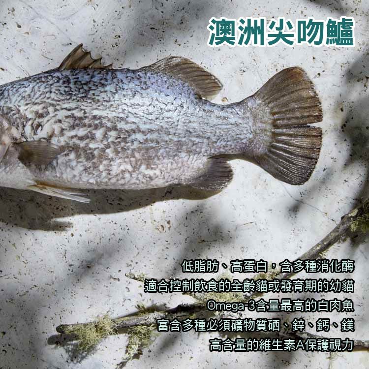 澳洲尖吻鱸低脂肪、高蛋白多種消化酶適合控制飲食的全齡貓或發育期的幼貓Omega3含量最高的白肉魚富含多種必須礦物質硒、鋅、鈣、鎂「高含量的維生素A保護視力