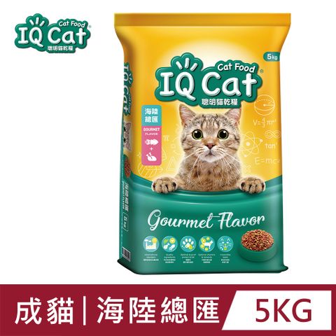 IQ Cat 聰明貓乾糧 - 海陸總匯口味 5KG