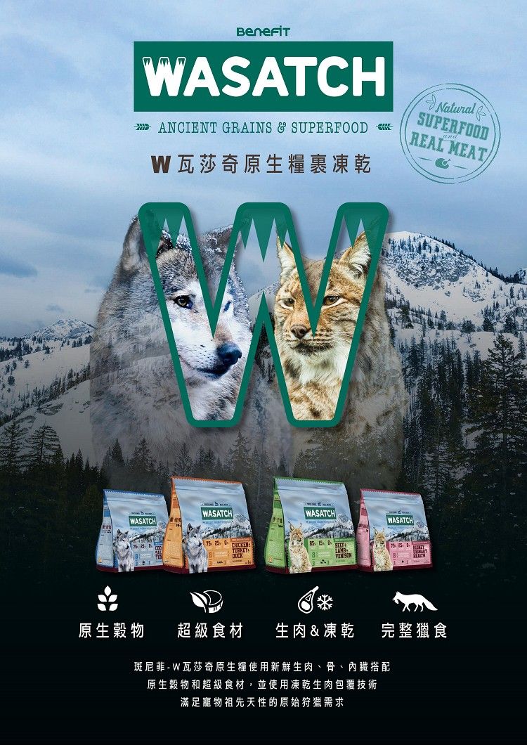 ASATCHANCIENT GRAINS & SUPERFOOD W瓦莎奇原生糧凍乾SUPERFOODREAL MEATWASATCHWASATCHWASATCH TURKEYWASATCH原生穀物超級食材生肉 & 凍乾完整獵食斑尼菲- W瓦莎奇原生糧使用新鮮生肉、骨、內臟搭配原生穀物和超級食材,並使用凍乾生肉包覆技術滿足寵物祖先天性的原始狩獵需求