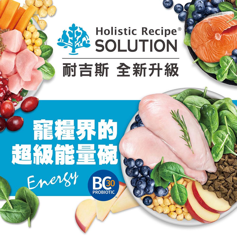 SOLUTION 耐吉斯 E11 優腎火雞餐 10LB(4.54KG) 無穀熟齡貓低磷配方(貓飼料 貓糧 貓食)