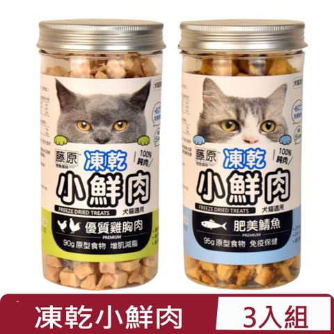 【3入組】藤原 凍乾小鮮肉-90~95g 原型食物｜犬貓適用