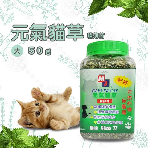 MJ 萌洲 聰明貓 元氣貓草 50G 貓薄荷草 維他命C 葉綠素 助化毛 貓草 貓零食