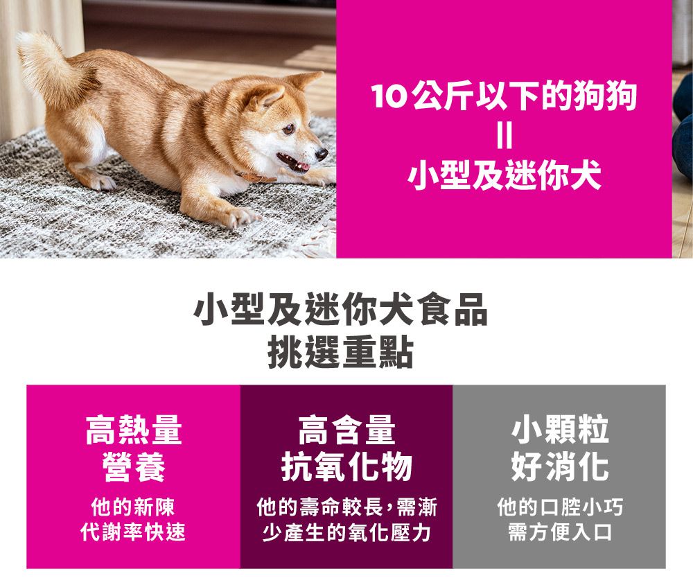 10公斤以下的狗狗小型及迷你犬高熱量營養小型及迷你犬食品挑選重點高含量抗氧化物小顆粒好消化他的新陳代謝率快速他的壽命較長,需漸少產生的氧化壓力他的口腔小巧需方便入口