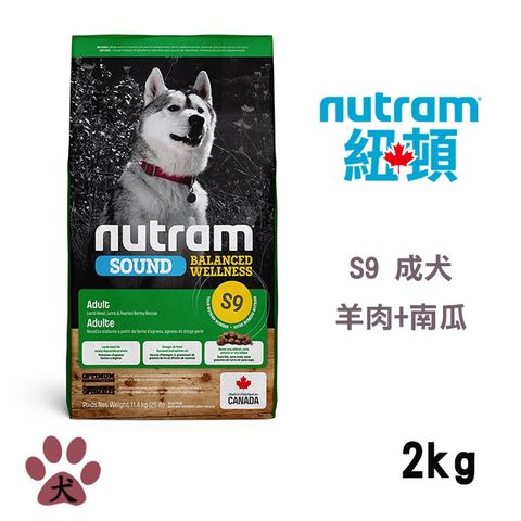 NUTRAM 紐頓 S9 均衡健康系列-羊肉+南瓜成犬2KG