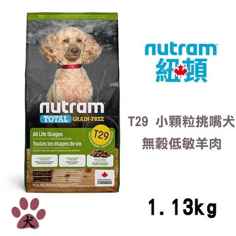 NUTRAM 紐頓 T29無穀全能系列-低敏羊肉挑嘴犬小顆粒1.13KG