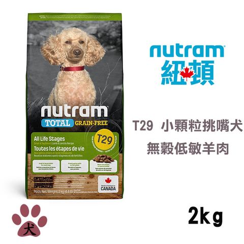 NUTRAM 紐頓 T29無穀全能系列-低敏羊肉挑嘴犬小顆粒2KG