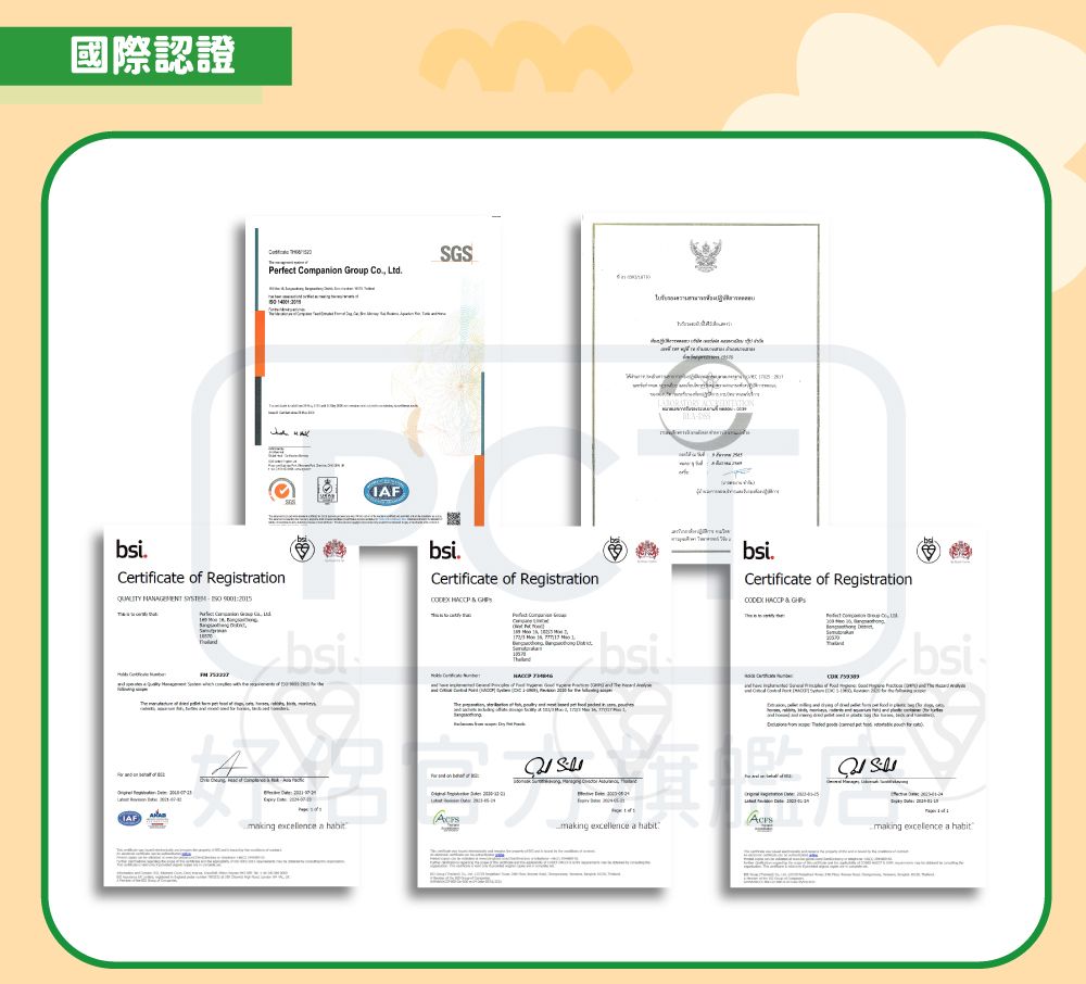 國際認證Perfect mpanion Group Co LtdGSbsi.Certificate of Registration   bsiIAFbsiCertificate of Registration НАССР  IAFmaking  a  Sbsi旗making excellence a habitbsi.Certificate of Registration   Co    bsimaking excellence a habit