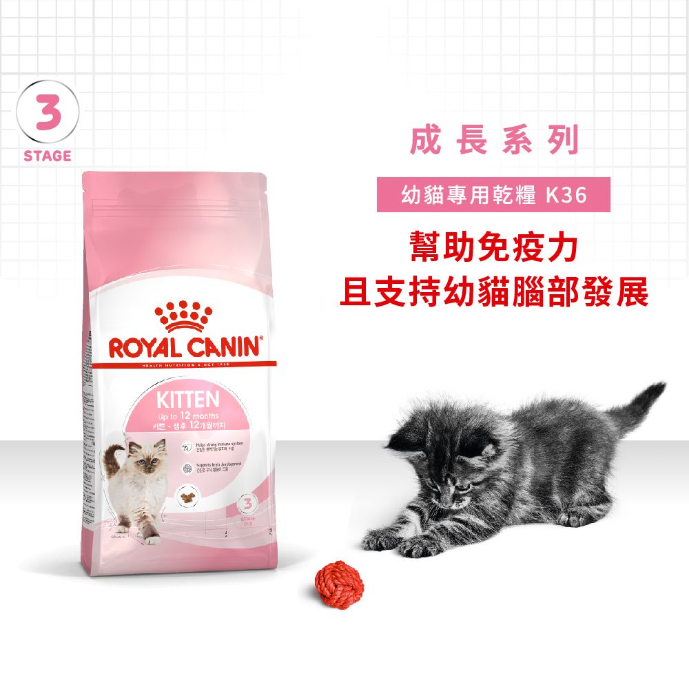 Royal Canin 法國皇家 幼貓K36 2KG