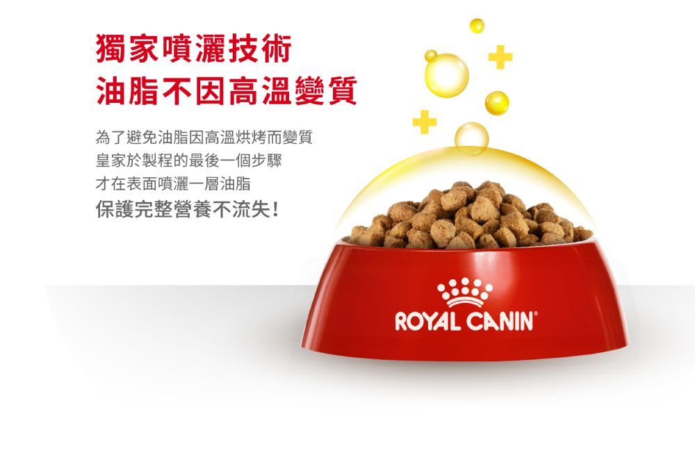 獨家噴灑技術油脂不因高溫變質為了避免油脂因高溫烘烤而變質皇家於製程的最後一個步驟才在表面噴灑一層油脂保護完整營養不流失!ROYAL CANIN